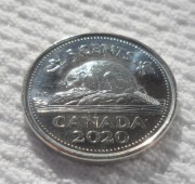 Kanada Królowa Elżbieta II 5 centów cents 2020 KM# 491 Bóbr 1 szt.