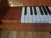 Pianino Calisia 