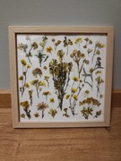 Obrazek z suszonych kwiatów 