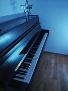 Pianino Klasyczne Legnica 