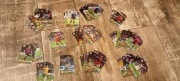 Card Star Fifa Euro 2024  50 sztuk nie powtarzają się 