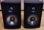 PSB Alpha LR1 | Kanadyjskie Monitory Hi-Fi | Kompaktowe & Precyzyjne