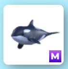 Roblox Adopt Me Mega Neon Orca
