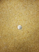 Groch drobny opakowanie 25kg 