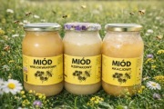 POLSKI Miód nektarowy wielokwiatowy akacjowy rzepakowy gospodarstwo 