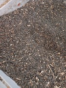 Słonecznik czarny ziarno dla ptaków gołębi pasza 11kg