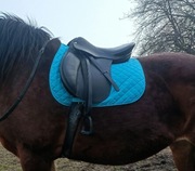 Czaprak fouganza cob full pony