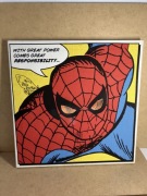 obrazek marvel pyramid spider-man material ramka 