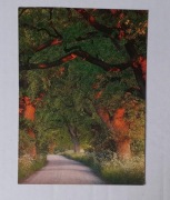 KARTKA  JESIENNY PARK