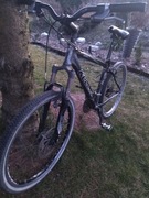 Rower górski Kellys Quartz 