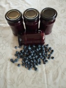 Dżem z borówki amerykańskiej - 4 sztuki - zestaw 