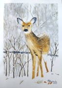 Obraz Akwarela zimowa sarna 
