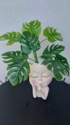 Monstera doniczka twarz