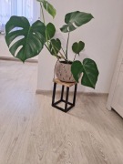 Kwietnik dębowy loft z metalową ramą 