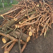 Sprzedam drzewo opałowe