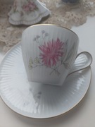 Thomas Rosenthal filiżanka ze spodkiem porcelana kwiaty 