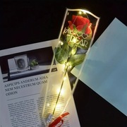 Róża świecąca led