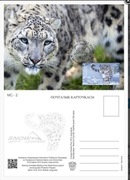 Kirgistan ** 2014r, Maxi karta - Pantera śnieżna