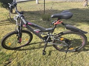 Rower Licorne Strong, rama 17 cali