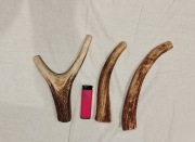 Poroże zestaw 3 szt naturalny Gryzak  dla psa  19-21cm 