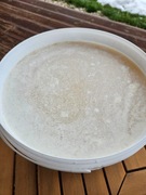 Miód rzepakowy 14kg wiadro