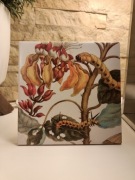 Płytka ceramiczna 15x15 vintage – ilustracja botaniczna z owadami