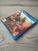Gra Killing Floor 2 Polska Wersja PS4/PS5 Playstation