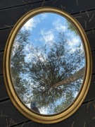 Owalne lustro, złota drewniana rama