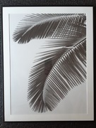 Plakat liść palmy 40x50 cm czarnobiały