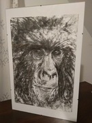 Rysunek węglem, sztuka, dekoracja, prezent.