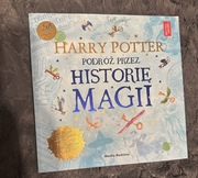 Harry Potter Podróż przez historię magii 