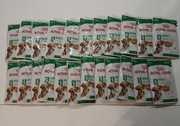 Royal Canin saszetka mini adult