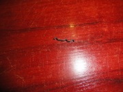 hilti te3c te3 c te 3 c m te 3ml t3 cl sprężyna przełącznika trybu pracy