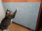 Samoprzylepny Drapak dla Kota – Ochrona Twojej Sofy i Mebli - 30x30 cm