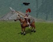 WOJ MENTAL 51 LVL VIP BOJOWY Z EQ + BUFF 25 LVL SHINSO PROJEKT HARD METIN2