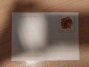 Kartka pocztowa Lilia Tygrysia 1970 proj. K. Tarkowska