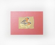 ptaszki kartka, czerwona kartka z ptaszkami