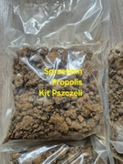 Propolis Kit Pszczeli 500 gram 