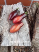 Pomidor  Antho pink panter  kolekcjonerski piękny 