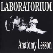 Laboratorium – Anatomy Lesson 