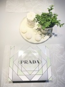Prada Carbon Luna Rossa  