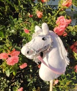 Hobby Horse Konik na kijku zestaw - Rose + METRYCZKA i MARCHEWKA 