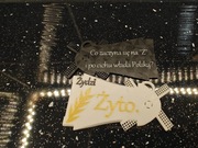 1670 serial breloczek Co zaczyna się na Ż? 