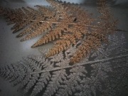 Galazka świąteczna komplet 7 szt