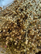 Staropolski len  suszony  wianki  boho susz  złoty