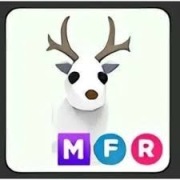 mfr arctic reindeer 