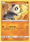 7 kart Pokemon Pancham 65/131 + Cubone 57/131 + Zygarde 71/131