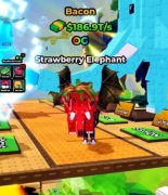 Kick a lucky block - 186.9T strawberry elephant lvl 75 (MAX)