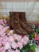Botki damskie H&M r. 38, wężowa skóra, obcas 9 cm, skóra ekologiczna