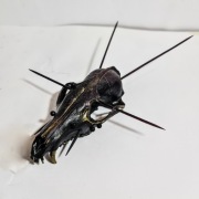 Zdobiona Czaszka lisa